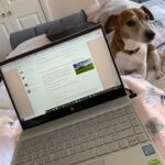 working from bed